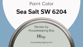 Sea Salt SW 6204 Green Paint Coordinating Colors, Trim, Colors That Go With & Undertones