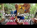 Cancer Special Timeless Tarot - Heart Spread Read: You & Your Anima/Animus