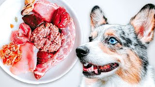 How To Raw Feed Your Dog (Ultimate Beginner's Guide 2023)