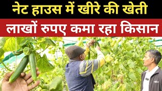 8 से 9 लाख रुपए एक एकड़ में खीरे की खेती करके कमाता है किसान | Net House Farming | Kheere ki Kheti |