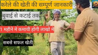 Karele ki वैज्ञानिक खेती ki sampurna details By A farmer 30 सालो से करेले की खेती का अनुभव Atoz