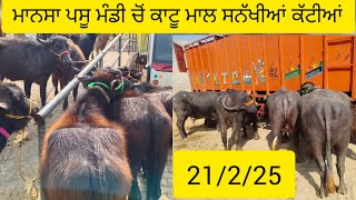 21 ਫ਼ਰਵਰੀ 2025