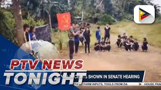 Video of new NPA recruits shown in Senate hearing