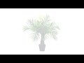 26” robellini palm artificial tree