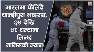 भारतमा फैलिँदै चान्दीपुरा भाइरस, २४ देखि ४८ घन्टामा लिन्छ मानिसको ज्यान