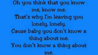 Kelly Clarkson - Mr. know it all (Lyrics on Screen)