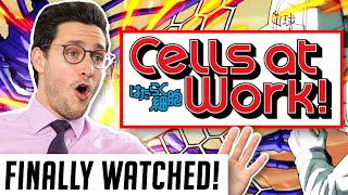 Real Doctor Reacts to CELLS AT WORK (Hataraku Saibō)