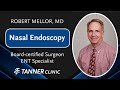 dr. mellor describes and performs a nasal endoscopy tanner clinic