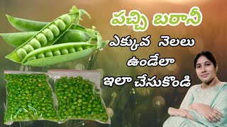 ఈ సీజన్లో మాత్రమే దొరికే పచ్చిబఠాణీ సంవత్సరం వరకు మంచి కలర్ తో ఇలా స్టోర్ చేసుకుందాం |Blanching Peas