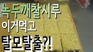 탈모예방과 당뇨예방에 좋은 녹두깨 찰시루떡