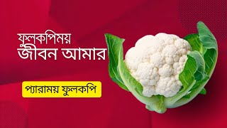 সবচেয়ে আশ্চর্যজনক ফুলকপি আবিষ্কার!