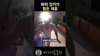 파리가 파리채를 피하는 이유 #동물 #파리 #파리채