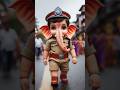 Deva shree ganesha #god #ganeshchaturthi #ganesh #shorts #shortvideo #short #ganpatibappamorya ganpa