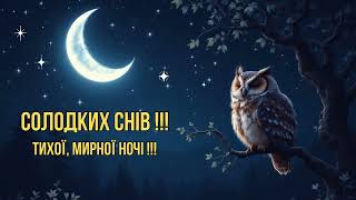 Побажання доброї ночі 🌙 Солодких снів!