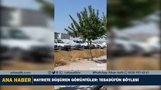 HAYRETE DÜŞÜREN GÖRÜNTÜLER: TESADÜFÜN BÖYLESİ