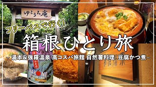 『Trip Vlog』箱根ひとり旅（前編）フリーパスが超便利！ 湯本 \u0026 強羅温泉 × 高コスパ旅館 × 自然薯 × 豆腐かつ煮