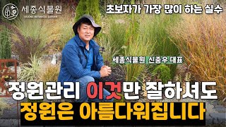 정원관리 초보자들이 실패하는 이유 ! 정원을 풍성하고 아름답게 만드는 방법 #정원 #비료 #정원가꾸기 #가을정원 #겨울정원 #가드닝 #세종식물원