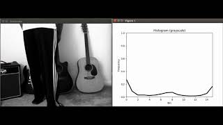 Real-time video histograms using OpenCV-Python