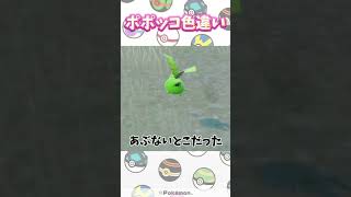 【ポケモンSV】色違い縛りの旅！ピンク編！ポポッコかわいいいいい。