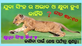 ଯୁବା ସିଂହ ର ଅଭାବ ଓ କ୍ଳେଶ କାହିଁକି ହୁଏ ❓  ଗୀତ ୩୪:୧୦, ଏହି ଯୁବାସିଂହ କିଏ ❓