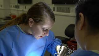 Cornell University, SynDaver canine surgery lab, students, open abdomen