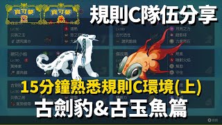 【寶可夢 朱\u0026紫】規則C隊伍分享-15分鐘教你更快熟悉新賽季環境(上)｜環境熱門寶可夢詳細對策｜雙打對戰教學｜#寶可夢 #第九世代#朱紫#新手#VGC#大師級#四災獸#雙打對戰#古劍豹#古玉魚