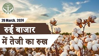 29 मार्च 2024 का सम्पूर्ण भारत के कॉटन बाजार | Today cotton market #kapas #cotton #smartinfoservices