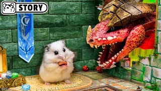 ⚔️ Hamster vs Dragon in the Dungeons & Dragons Maze ⚔️ Homura Ham
