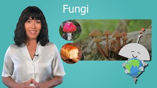 Fungi - Biology for Teens!