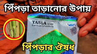 পিঁপড়া তাড়ানোর উপায় /পিঁপড়া মারার বিষ/ তেলাপোকা দূর করার উপায়