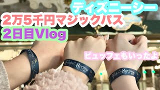 マジックパスで入園したよ/ファンタジースプリングスホテルのビュッフェもいけた！！2日目Vlog