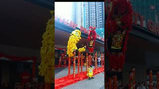 Acrobatic Lion Dance - Double Lion Performance By Xuan Long Dragon And Lion Dance Rawang