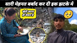 खेती करके भी कोई फायदा नहीं 🥺 Village Lifestyle Vlogs #sachinpanwarvlog