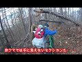 【ぬいぐるみと行く】ファットバイクで落ち葉カサカサトレイルライド。安曇野の里山でmtbを楽しみます。