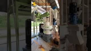 เครื่องอัดเม็ด Biomass Pellet Machine รุ่น MCLH 750 เครื่องอัดเม็ดชีวมวล เครื่องอัดแท่งชีวมวล