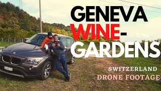 GENEVA WINE GARDENS | DRONE FOOTAGE 4K