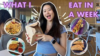 WHAT I EAT IN A WEEK IN COLLEGE!!