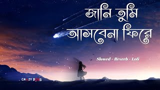 Jani Tumi Asbena Fire - জানি তুমি (Lofi & Lyrics) Bangla Lofi Songs | Jani Tumi. Crazy boys