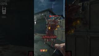 Amalgam Finishing Move in BO6 Zombies!