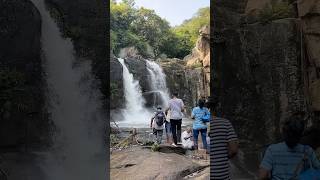 குற்றாலம் செண்பகாதேவி அருவிக்கு ட்ரெக்கிங் செல்ல அனுமதி..