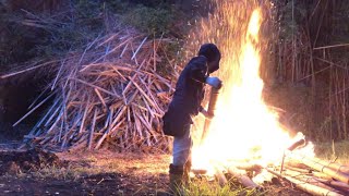 荒廃した孟宗竹林の整備2年目～雨上がりの野焼きで汗まみれ…痩せる夏2023/06/14-01