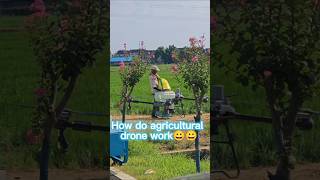 DJI agricultural drone is working in the field. #dji #djit30 #dronevideo #agriculture