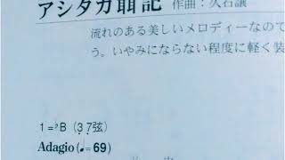 アシタカ聶記（アシタカせっき）　弾いてみた　【二胡erhu】