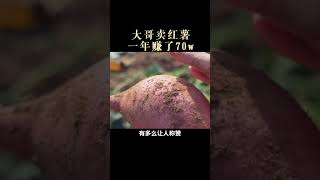 大哥卖烤地瓜，一年赚了70w How a roasted sweet potatoes earns 700k a year