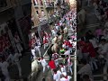 Running of the bulls in Pamplona’s san Fermín festival.