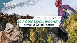 ค้างคาววัดเขาช่องพราน อ.โพธาราม จ.ราชบุรี