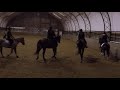 quadrille jan2020 wtc group