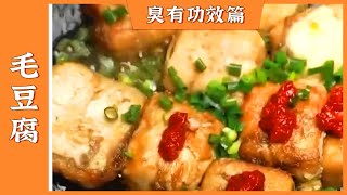 《仲夏四味》毛豆腐 臭豆腐 臭鳜鱼  体验徽州闻起来臭臭吃起来香香的美味——臭有功效篇 | 美食中国 Tasty China