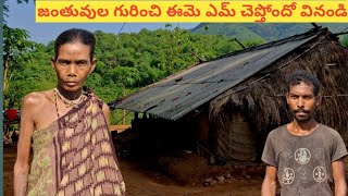 కొండల్లో  ఒకే ఒక గిరిజన కుటుంబం || lone tribal family on hills