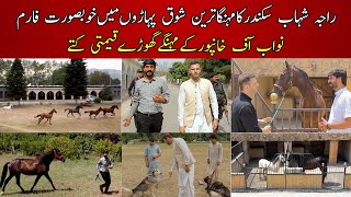 Raja Shahab Sikandar Horse Farm, Expensive Dogs and Antique Cars || Most Beautiful Horses Pakistan